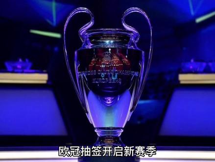 以获得投资